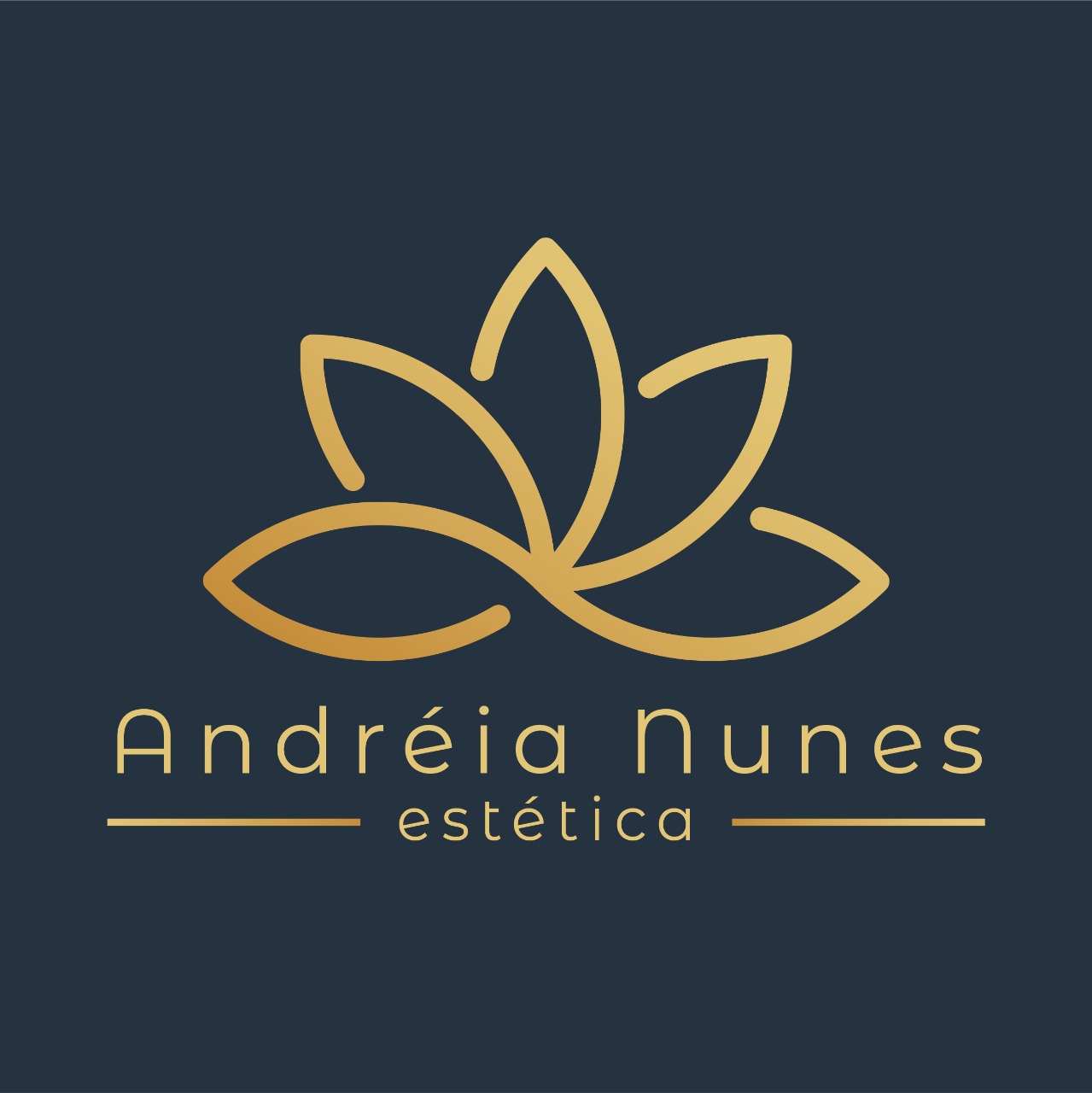 Andréia Nunes Estética